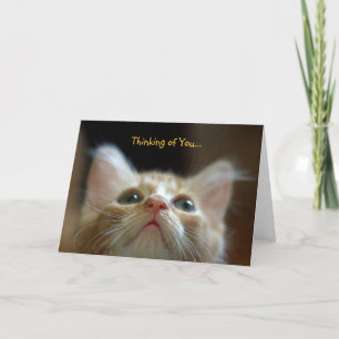 Tarjeta de saludo con el Naranja Adorable Tabby Ki
