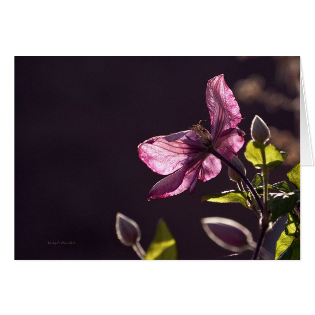 Tarjeta de saludo con flor (Anverso (Horizontal))