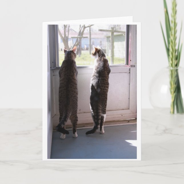 Tarjeta de saludo con gatos (Anverso)