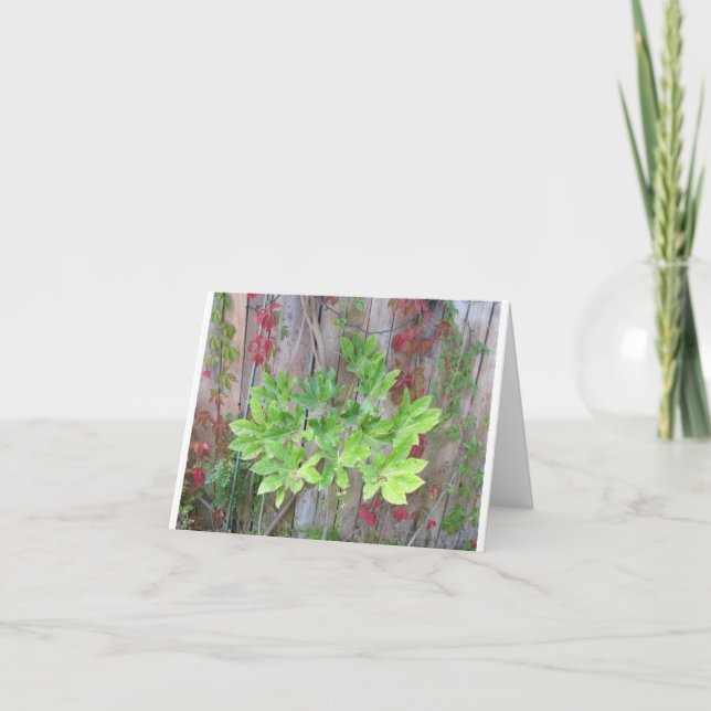 Tarjeta de saludo con hojas hermosas sobre una val (Anverso)