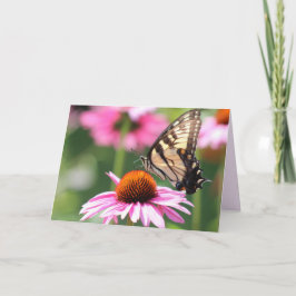 Tarjeta de saludo con mariposa de cola tragaluz am