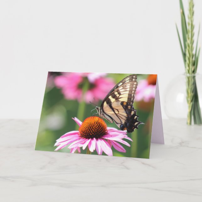 Tarjeta de saludo con mariposa de cola tragaluz am (Anverso)