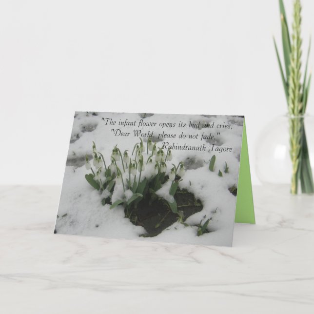 Tarjeta de saludo con presupuesto prudente (Anverso)