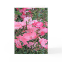 Tarjeta de saludo con rosas rosadas