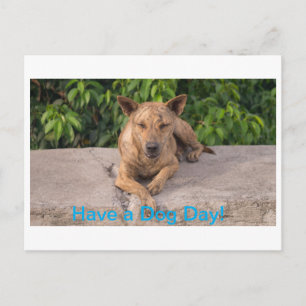 Tarjeta de saludo con tema canino