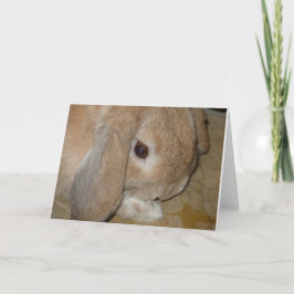 Tarjeta de saludo - Conejo enano de lop Earf