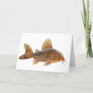 Tarjeta de saludo Corydoras Catfish