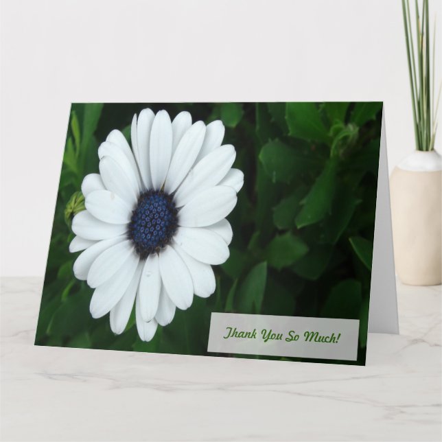 Tarjeta de saludo Daisy Africana (Anverso)