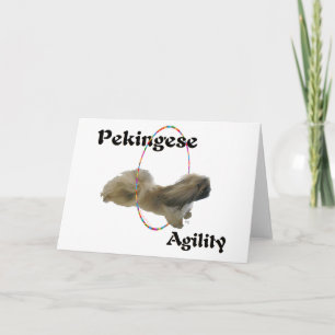 Tarjeta de saludo de Agilidad Pekingesa