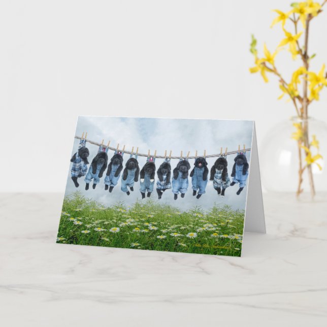 Tarjeta de saludo de aguanta ahí cachorro (flor amarilla)
