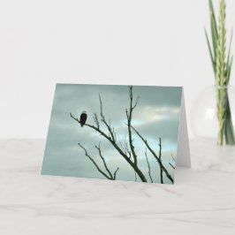 Tarjeta de saludo de águila calva