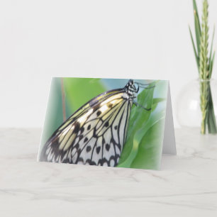 Tarjeta de saludo de ala mariposa