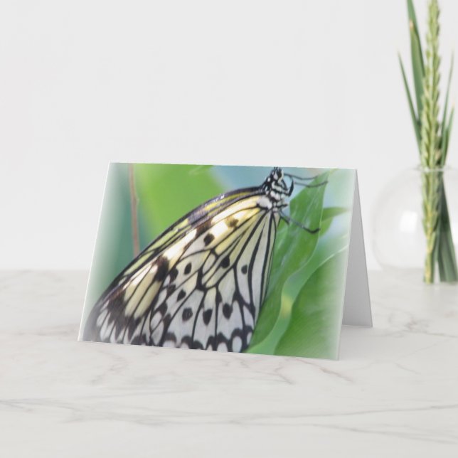 Tarjeta de saludo de ala mariposa (Anverso)