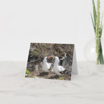 Tarjeta de saludo de amistad del pájaro de Nazca