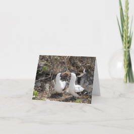 Tarjeta de saludo de amistad del pájaro de Nazca