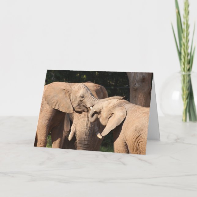 Tarjeta de saludo de amor para elefantes (Anverso)