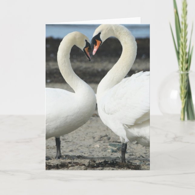 Tarjeta de saludo de amor Swan (Anverso)