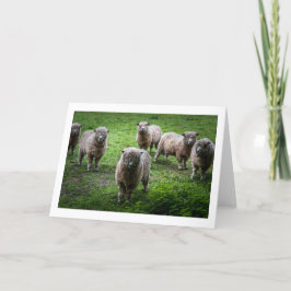 Tarjeta de saludo de animales, en blanco dentro.