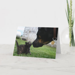 Tarjeta de saludo de ánimo para gatitos y perros