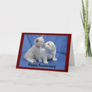 Tarjeta De Saludo De Aniversario De Gatitos Y Cach