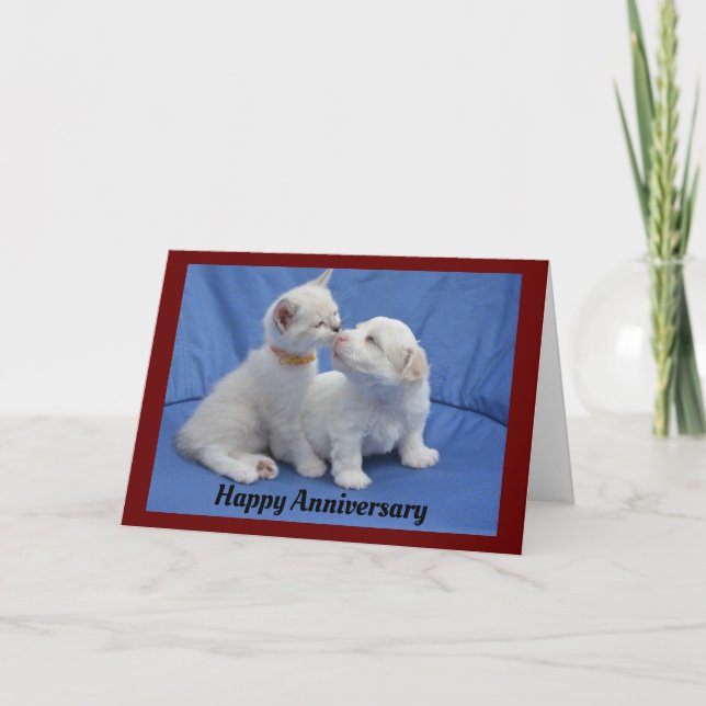 Tarjeta De Saludo De Aniversario De Gatitos Y Cach (Anverso)
