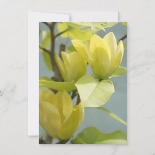 Tarjeta de saludo de árbol de magnolia amarilla