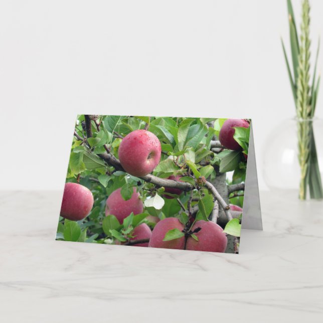 Tarjeta de saludo de árbol de manzana (Anverso)