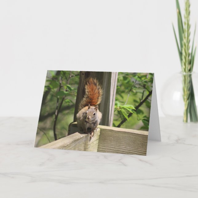 Tarjeta de saludo de ardilla (Anverso)