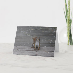 Tarjeta de saludo de ardilla