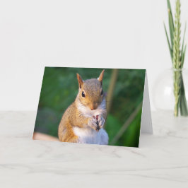 Tarjeta de saludo de ardilla