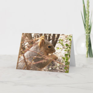 Tarjeta de saludo de ardilla