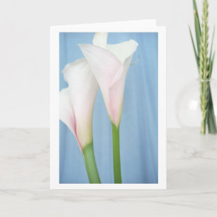 Tarjeta de saludo de arte Tango White Calla Lily