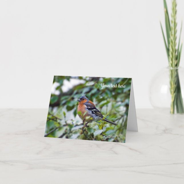 Tarjeta de saludo de ave Chaffinch (Anverso)