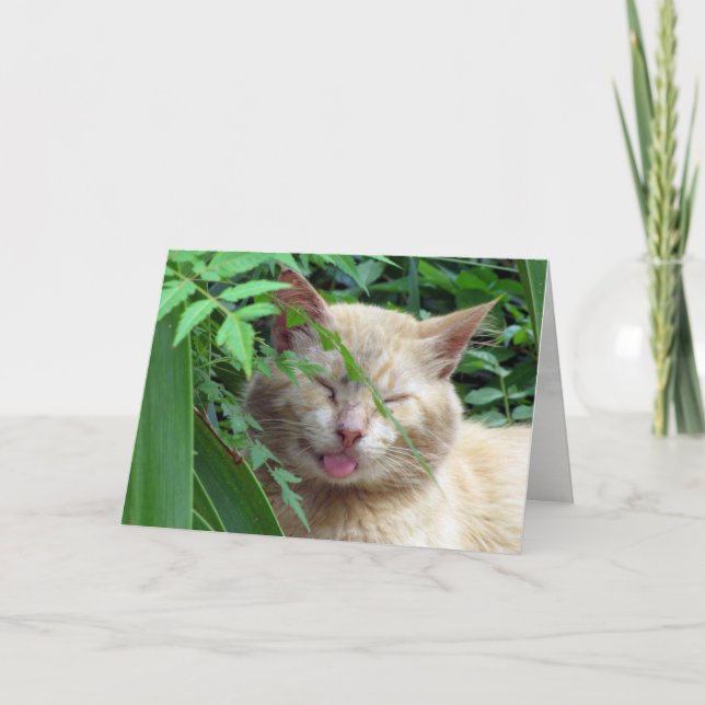 Tarjeta de saludo de Bestia (Anverso)