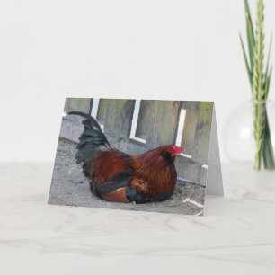Tarjeta de saludo de bonito Rooster