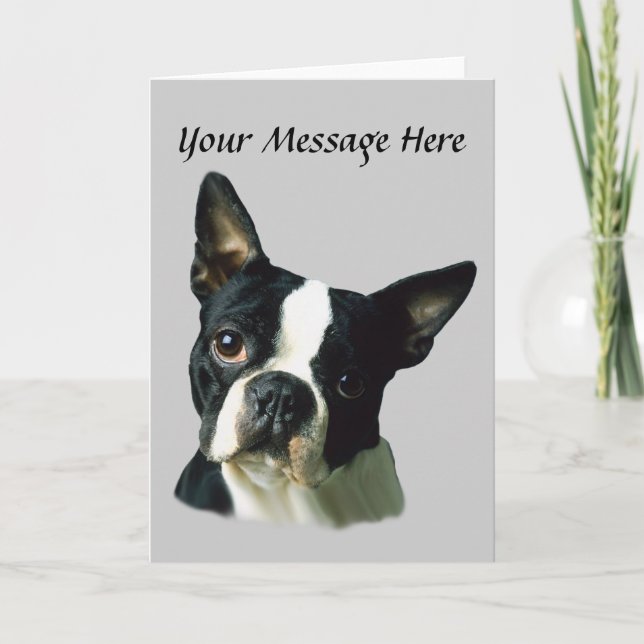 Tarjeta de saludo de Boston Terrier (Anverso)