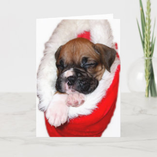 tarjeta de saludo de boxeador navidad
