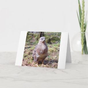 Tarjeta de saludo de buitre – Buitre de vida silve