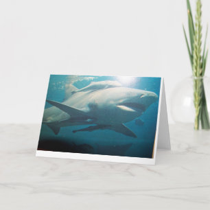 Tarjeta de saludo de Bull Shark