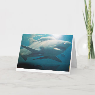Tarjeta de saludo de Bull Shark