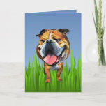 Tarjeta de saludo de Bulldog Cute<br><div class="desc">Soy un gran amante de los animales y abogar por ellos y crear arte/personalizados es mi pasión. Puede personalizar fácilmente esta tarjeta seleccionando el botón azul "editarla o personalizarla". Si te gustaría que TU perro escogiera este personalizado para poner los productos de Zazzle de tu elección, por favor envíame un...</div>