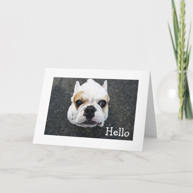 Tarjeta de saludo de Bulldog Hello - Verse (Anverso)