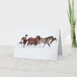 Tarjeta de saludo de caballo de marzo nevado II