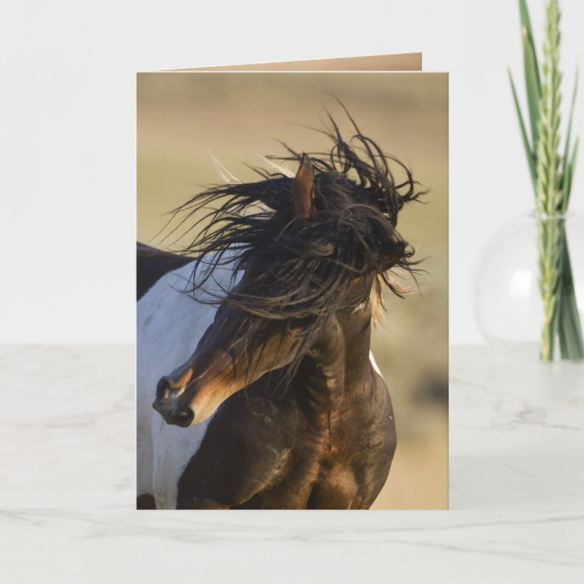 Tarjeta de saludo de Caballo Salvaje de Agitación  (Anverso)