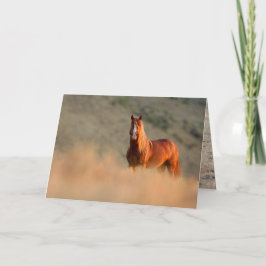 Tarjeta de saludo de caballos salvajes Sunrise Sta