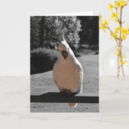 Tarjeta de saludo de cacatúa crestada de azufre cu