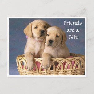 Tarjeta de saludo de cachorro Labrador Retriever a