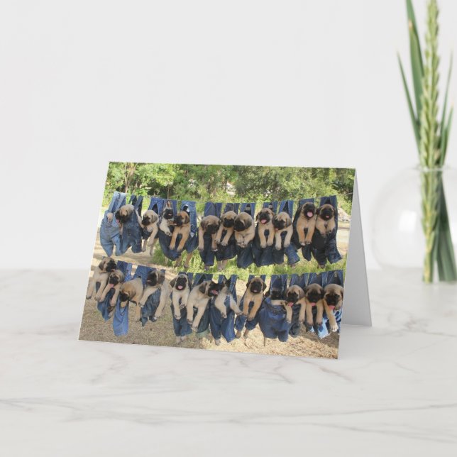 Tarjeta de saludo de cachorro Mastiff (Anverso)