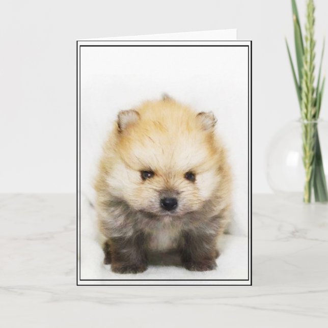 Tarjeta de saludo de cachorro pomerania (Anverso)