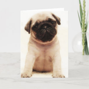 Tarjeta de saludo de cachorro Pug